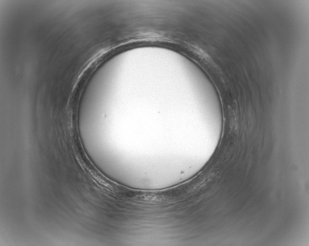 X0000052951318200508050911