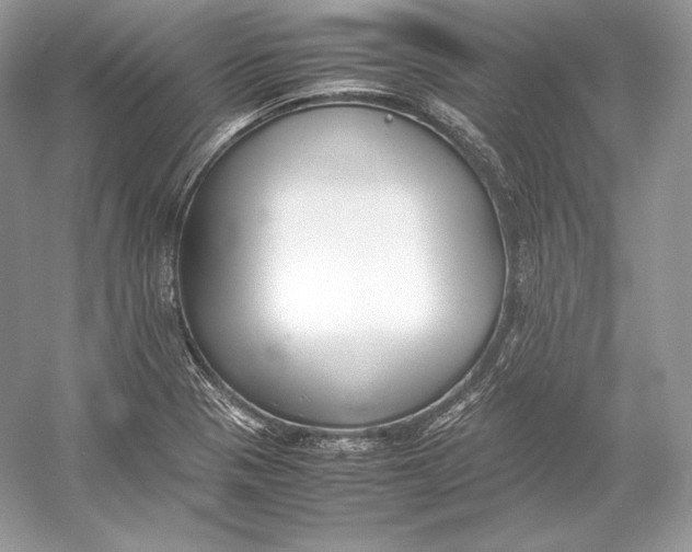 X0000052951321200508050912