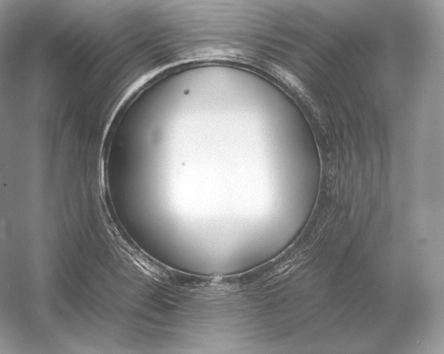 X0000052951324200508050912