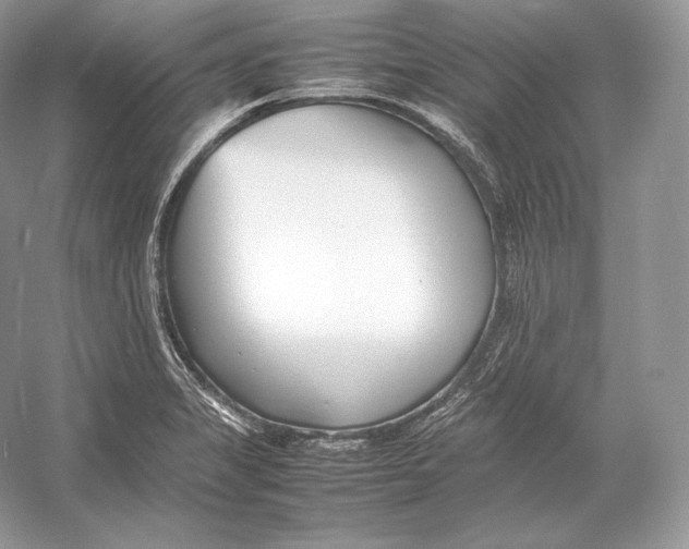 X0000052951325200508050912