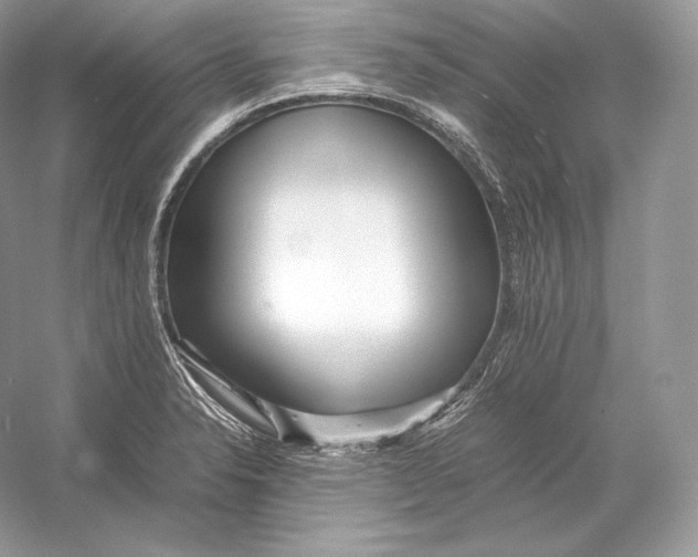 X0000052951326200508050912