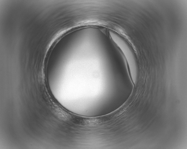 X0000052951328200508050912