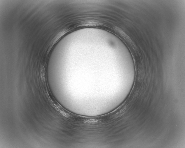 X0000052951329200508050912