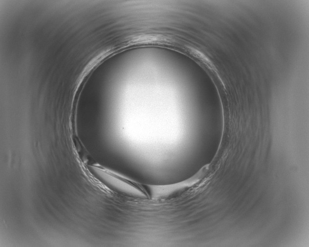 X0000052951330200508050912