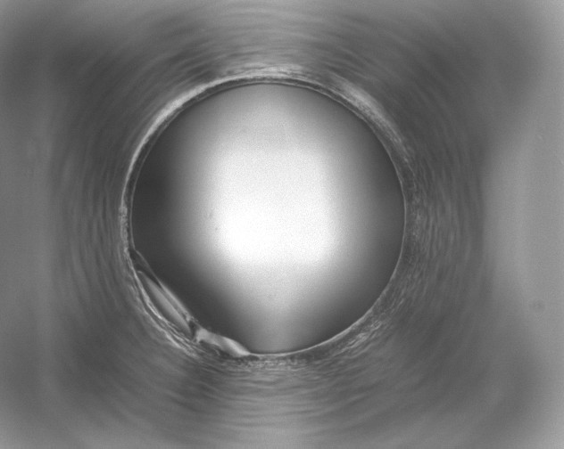 X0000052951332200508050912