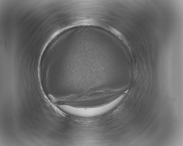X0000052951334200508050912