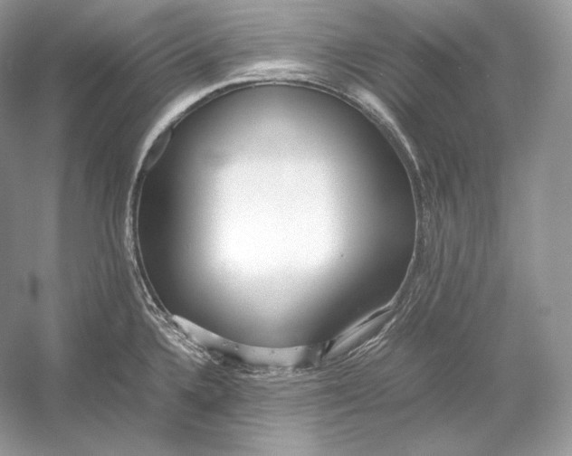 X0000052951336200508050912