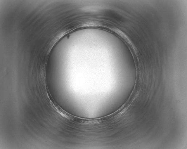 X0000052951337200508050912