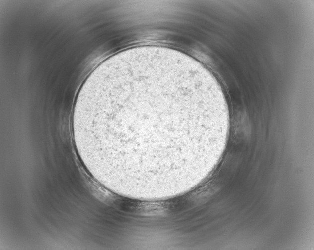 X0000052951338200508050912