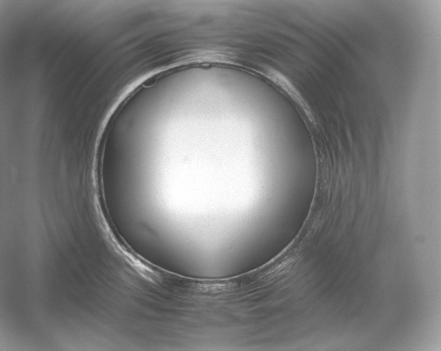X0000052951339200508050912