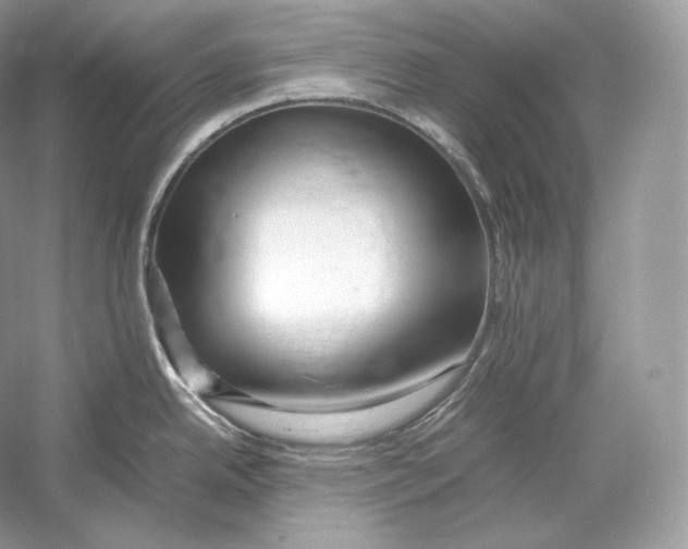 X0000052951342200508050912