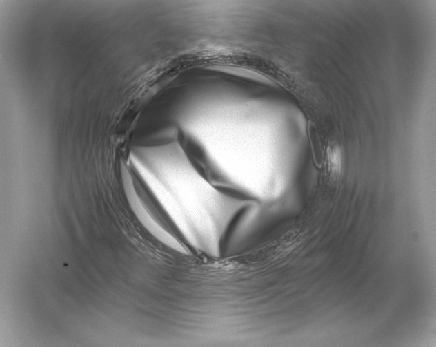 X0000052951348200508050911