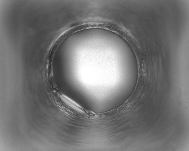 X0000052951352200508050911