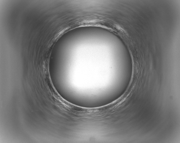 X0000052951353200508050911
