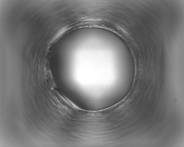 X0000052951354200508050911