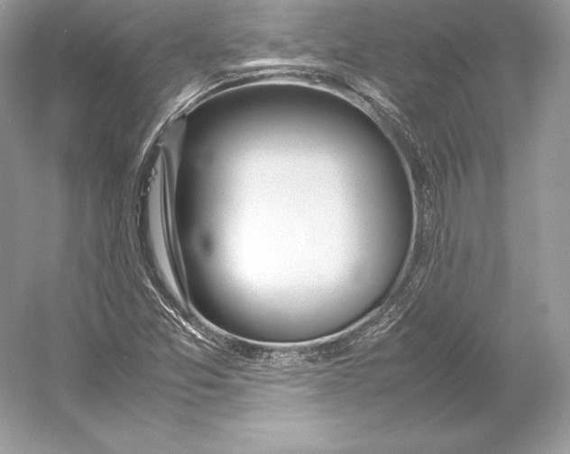 X0000052951357200508050911