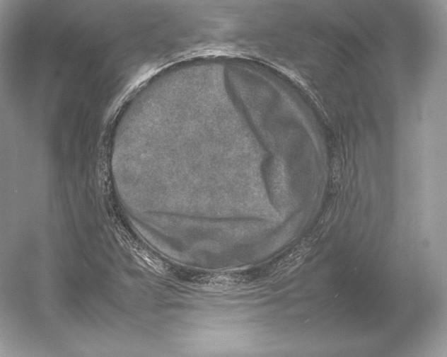 X0000052951359200508050911