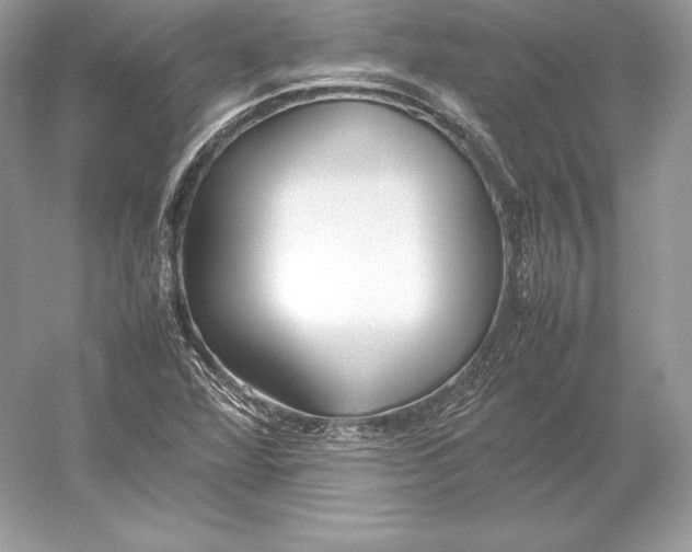 X0000052951360200508050911