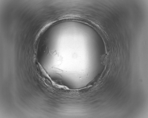 X0000052951363200508050911