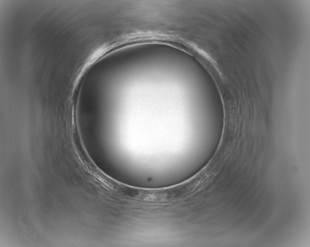 X0000052951365200508050911