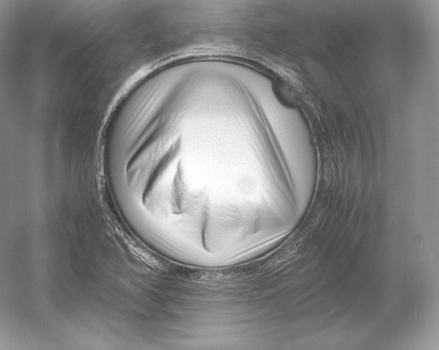 X0000052951366200508050911