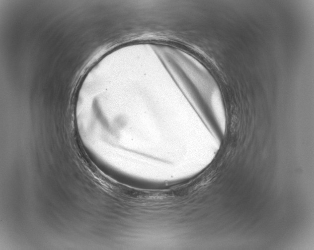 X0000052951367200508050911