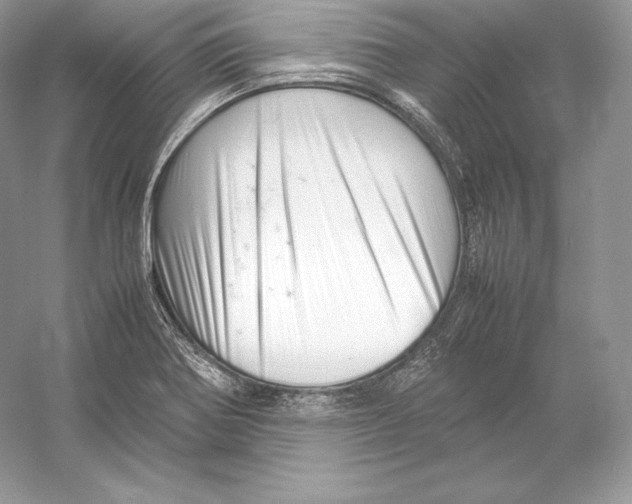 X0000052951370200508050911