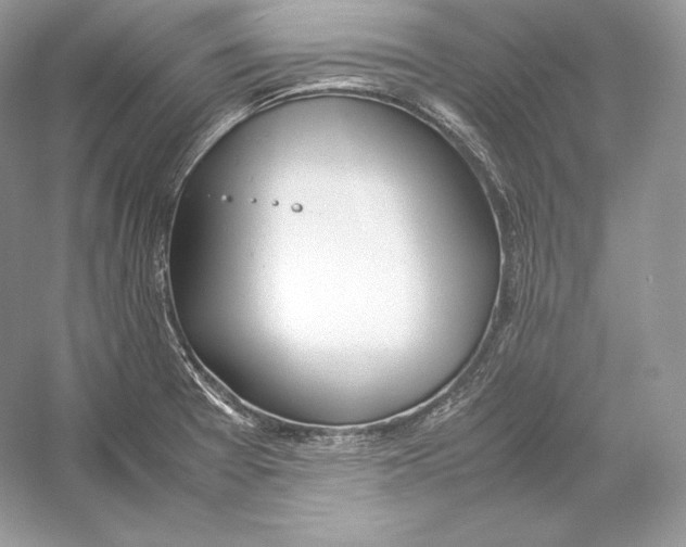 X0000052951377200508050911