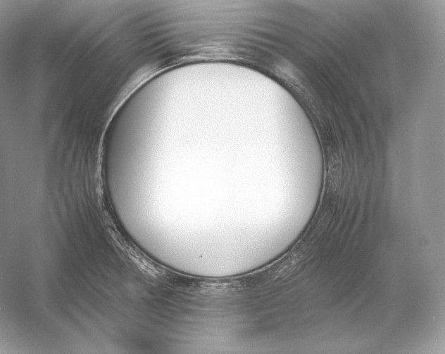 X0000052951378200508050911