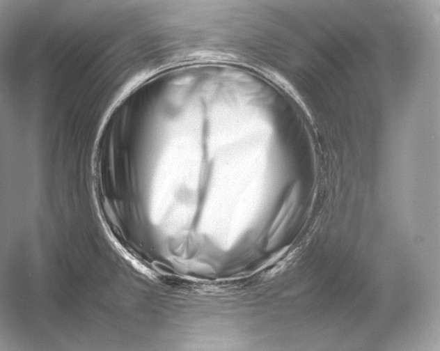 X0000052951381200508050910