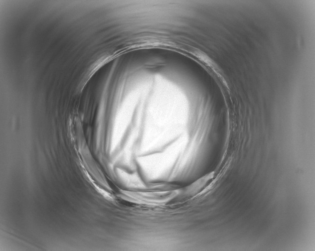 X0000052951385200508050910