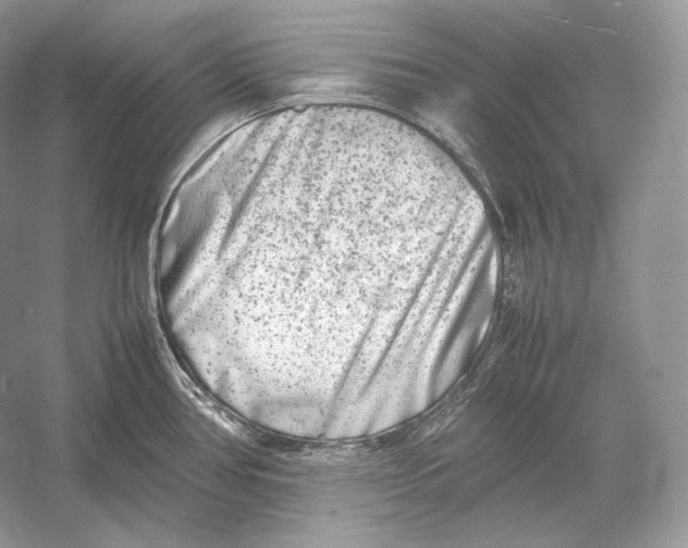 X0000052951386200508050910