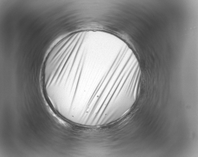 X0000052951387200508050910