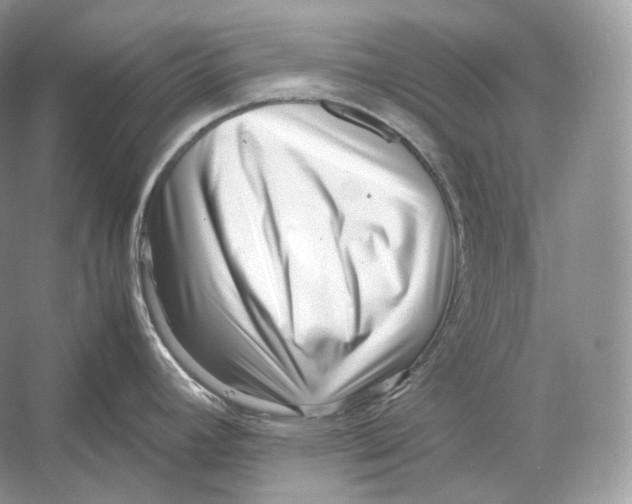 X0000052951392200508050910