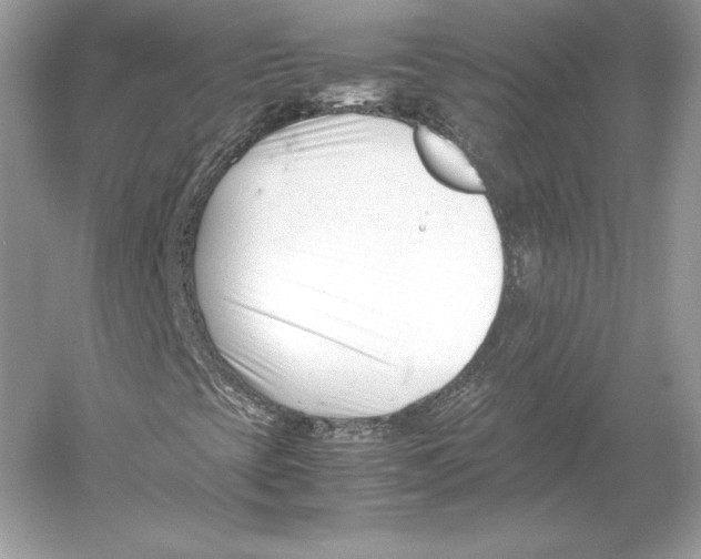 X0000052951393200508050909