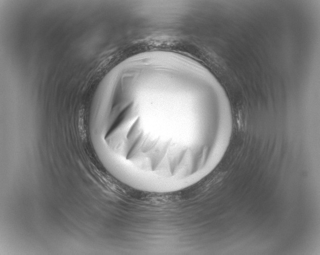 X0000052951396200508050910