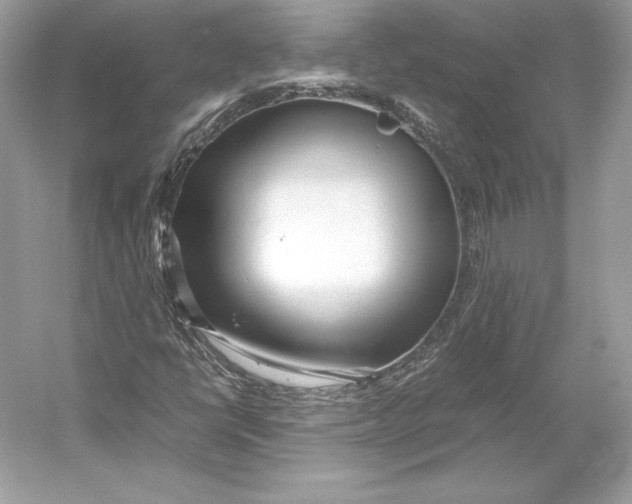 X0000052951398200508050910