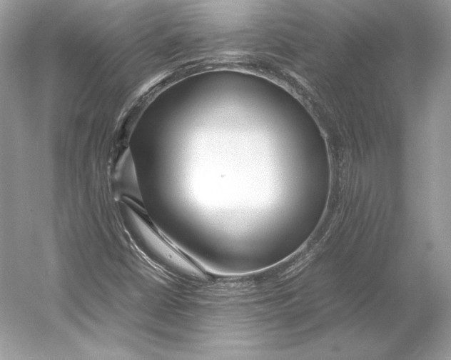 X0000052951402200508050910