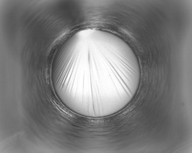 X0000052951403200508050910