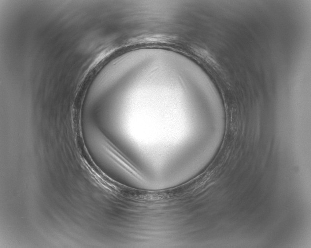 X0000052951404200508050910