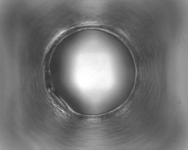 X0000052951406200508050910