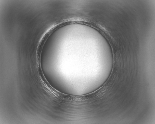 X0000052951408200508050910