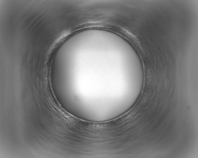 X0000052951411200508050910
