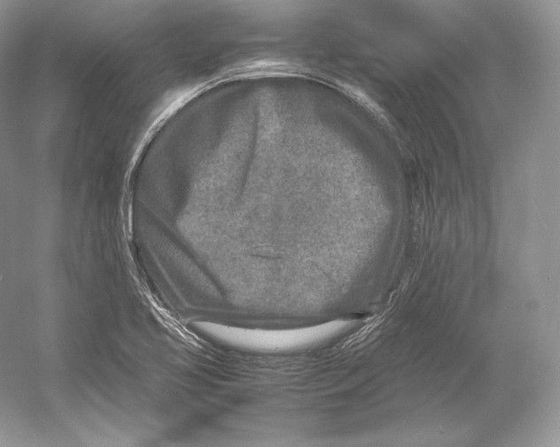 X0000052951413200508050910