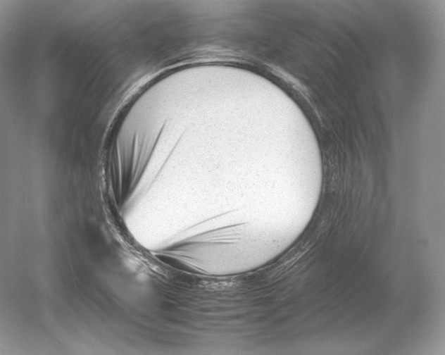 X0000052951415200508050910