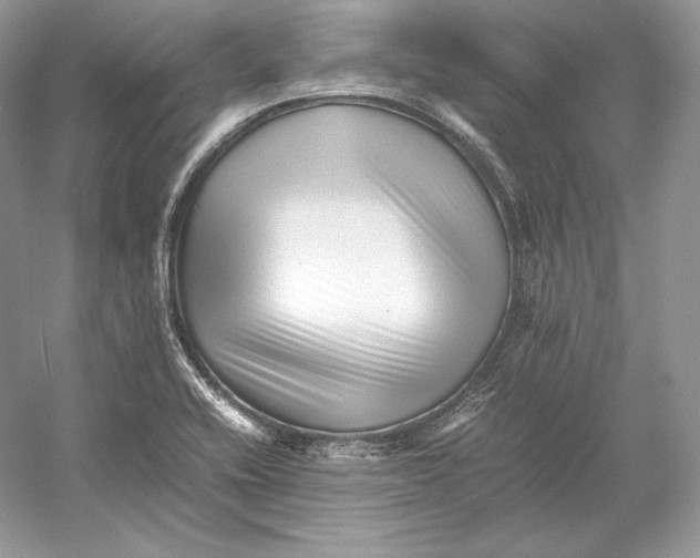 X0000052951416200508050910
