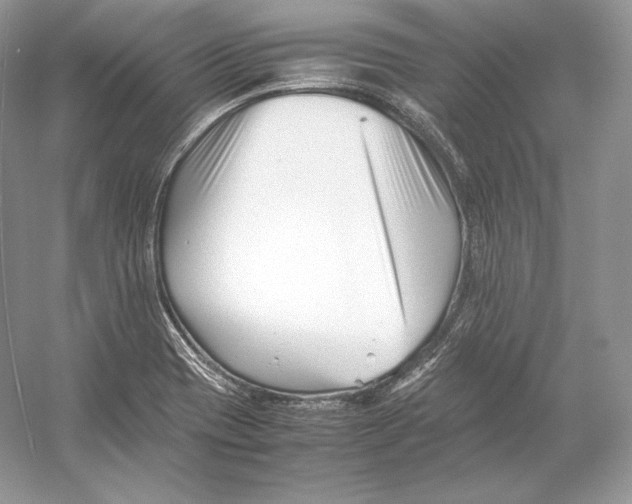X0000052951417200508050910