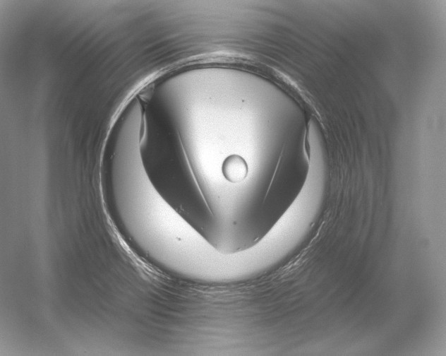 X0000052951418200508050910