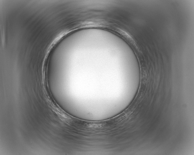X0000052951419200508050910