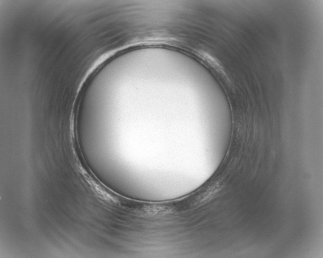 X0000052951420200508050910